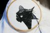 5959f18fe0c1d_2017-07-0301_01_322.thumb.jpg.e7c6dbcccbe908134c79c5f44ddf1b99.jpg
