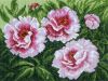 694_enl.thumb.jpg.d8067194729ff785be4a14e4696cc511.jpg