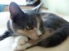 DSC03988_.thumb.jpg.6496ceff9dd2640471cc231bcbc0e97c.jpg