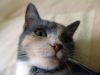 DSC03992_.thumb.jpg.a7b0134b8c55d4a455bc5d71e7a8db2e.jpg