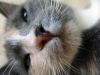 DSC03993_.thumb.jpg.a68accd9f7daa18e2183423839a94923.jpg
