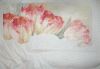 DSC08061.thumb.JPG.295c7134a4a5a14163481da046471f81.JPG