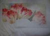 DSC08062.thumb.JPG.6f401da7b5940b06d33a6a487393cfe0.JPG