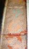 DSC09231.thumb.JPG.99f2c52c326e704299f41babef94c09f.JPG
