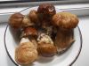 DSCN1134.thumb.JPG.a56537fa8137ff3a7c84deefe35c9834.JPG