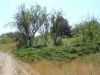 DSCN1862.thumb.JPG.739dfc913e80da4d2e55d885e0461a63.JPG