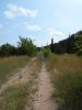 DSCN1911.thumb.JPG.1cf7193c6b2a49de668e5ff4a11ed0d3.JPG