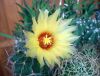 DSCN9706.thumb.JPG.67700d8d98bf18cdd7efdc409e98c4a2.JPG