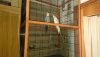 DSC_0085.thumb.JPG.0974cefe09ce0814c5fa1d3589f15f72.JPG