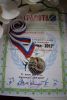DSC_2777.thumb.JPG.5284d55b744a9878817f3d0689afa227.JPG