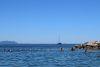 DSC_3118.thumb.JPG.bd8b69dfa3562855470e9a89c4a126cd.JPG