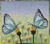 DSDpROc40b8.jpg.cb1499943654b5f24872a1adc9397dba.thumb.jpg.db5975efbaf6a857d756b2fa0512eeb1.jpg