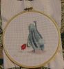 IMAG5007_1.thumb.jpg.eb3a91b876137e51d4786fac4ad84424.jpg