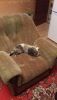 IMG-1414779743206-V.thumb.jpg.0d35e21b79a1f74e22cf11823c53b4d5.jpg