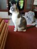 IMG-20170712-WA0000.thumb.jpg.df04bf9bf5dccd3e91f70e04e1dcb429.jpg