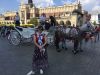 IMG_0102.thumb.JPG.70d6ead9700c7bfa7950d6be5de81154.JPG