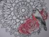 IMG_0376_1.thumb.jpg.9142c0e1b4c25310b6b5d482939ce260.jpg