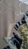 IMG_20170508_155522.thumb.jpg.95be105f1c03e80fc2f7daa404eb8ec3.jpg