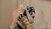 IMG_20170510_080902.thumb.jpg.f58b7db0eca1dbebeb836c47fcfce69c.jpg