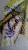IMG_20170513_093537.thumb.jpg.25851ed5e0bbacc46e711dcefb1517f8.jpg