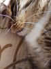 IMG_20170701_115529.thumb.jpg.9ad9d31fcae023fac74c90f9734e76d8.jpg