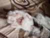 IMG_20170701_115610.thumb.jpg.d074fb4b30adffaeca598817d0901b11.jpg