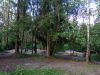 IMG_20170701_185525.thumb.jpg.8902cd544fbf0fc6eee5113eed95b418.jpg