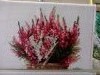 IMG_20170713_144209.thumb.jpg.bab4dfd03d7a899bdcf237483c934fda.jpg?1500135455100