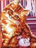 Русская сказка БП-ЖН-098(4). Котенок