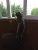 IMG_4540.thumb.JPG.ebd73075967c7c8925553413aab9d3de.JPG