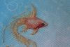IMG_6226.thumb.JPG.084949dac9160019a55446b2fea691d4.JPG