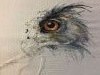 IMG_6352.thumb.JPG.78e187ed72936f51c862cdac313ea38a.JPG?1500662516932