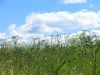 IMG_6978.jpg