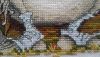 P_20170706_081033.thumb.jpg.4594ddbd233b981e5769b468b90b0519.jpg