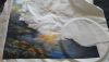 P_20170720_165447_vHDR_On.thumb.jpg.46f53a68af4ceac1e574c714a237186c.jpg