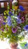 P_20170722_153913.thumb.jpg.b9ed12ca2b3c11ca3115b0499b6454f6.jpg