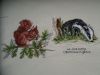 SDC10217.thumb.JPG.3c1cb2c8e649b0637e1e1084c84f91f3.JPG
