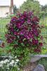_DSC6852.thumb.JPG.1eb78a829c4843f2f87cae9b5a2cfdf1.JPG