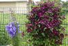 _DSC6854.thumb.JPG.26928d4c875d9aa74a29f5e9cdb39b0f.JPG