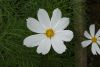 _DSC6871.thumb.JPG.32cc8da7e7ebcc1eecde11069709dc31.JPG
