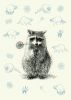 ed8d04fee477da27f3336e891b48f7f1--racoon-drawing-tanuki.thumb.jpg.5381e1fd5eaa84dbb22becb472105ca7.jpg