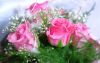 look_com.ua-193430.thumb.jpg.fdf9cdc0ca19fced3ae9fa5951357c1d.jpg