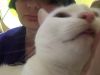 tJ1GM1YX_Zg.thumb.jpg.4899e9091770b7bfe83dde35686a5a2b.jpg