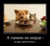tmb_demotivatorium_ru_a_tapkom_po_morde__37238.thumb.jpg.3742aa44f109f1da8e495def303ed44d.jpg