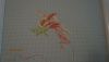 1.thumb.jpg.491cdc170cb09de45dfafb0482df403e.jpg