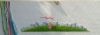 1.thumb.jpg.5a1be047701440417ce70db0e388a7d8.jpg