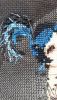 1.thumb.jpg.eab8671819fc3c9dcb54ba3117b67ad1.jpg