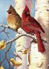 Dimensions 06938, Пара кардиналов (Cardinal Pair)