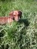 20160426_100125.thumb.jpg.6ac6db7f9d3505427f636793f3a68868.jpg?1502102505240
