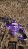 20170409_173839.thumb.jpg.4aa6ff40f873dcf895db1245a22fcf29.jpg